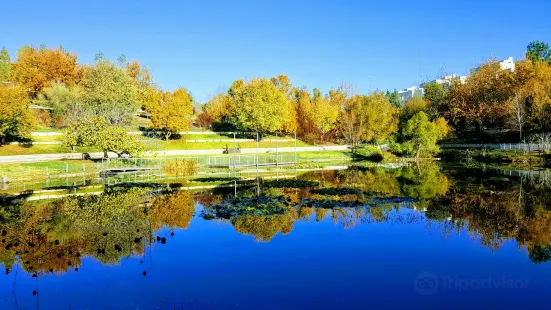 The Jerusalem Botanical Gardens