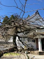 Obi Castle History Museum