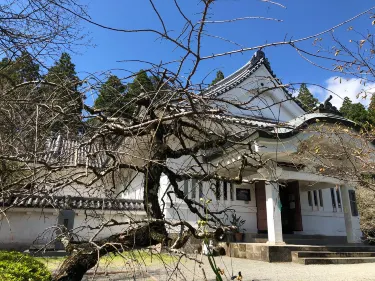 Obi Castle History Museum