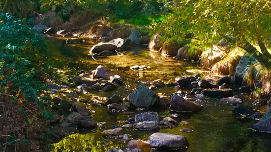 Parque de Recreo Natural La Panera