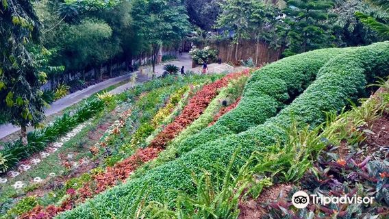 Terrazas de Flores Botanical Garden and Restaurant