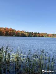 Treetop Trekking Brampton