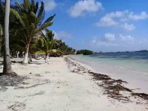 Mahahual Beach