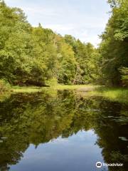 Mine Hill Preserve