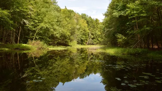 Mine Hill Preserve