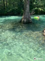 Parc d'État de Ponce de Leon Springs