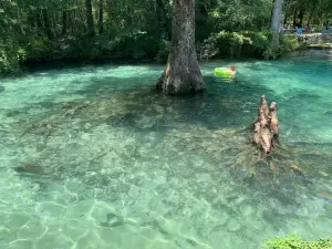 Parc d'État de Ponce de Leon Springs