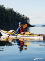 North Island Kayak