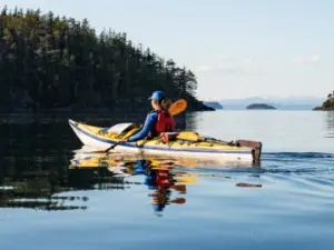 North Island Kayak