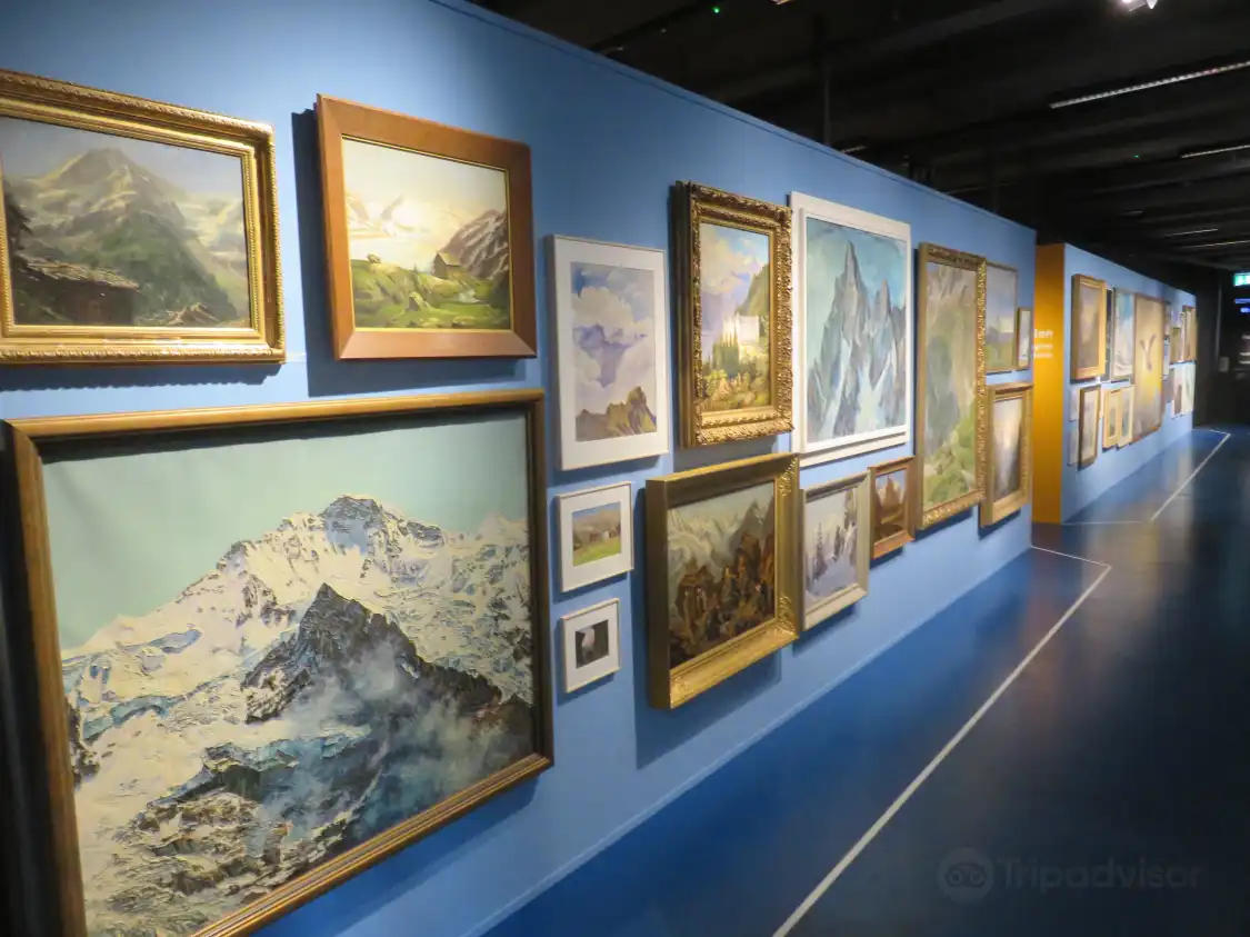 Hotel in zona Swiss Alpine Museum