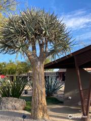 Carefree Desert Gardens