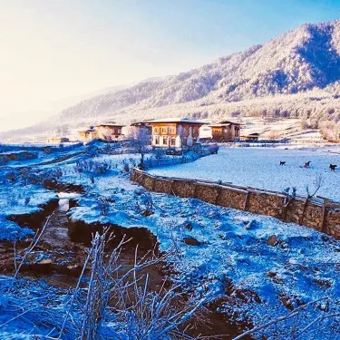 Phobjikha Valley