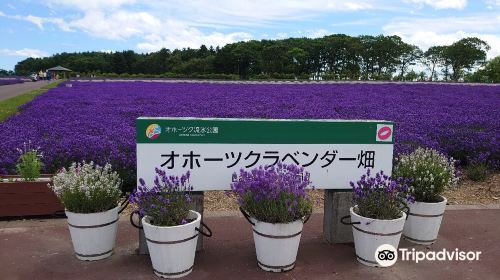 Hokkaidoritsu Okhotsk Ryuhyo Park