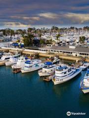 Dana Wharf Sportfishing & Whale Watching Dana Point