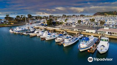 Dana Wharf Sportfishing & Whale Watching Dana Point