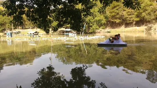 Parque dos Macaquinhos