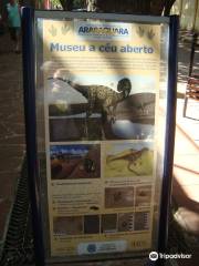 Ceu Aberto Museum