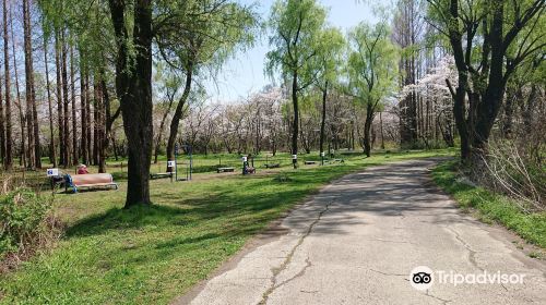 秋瀨公園