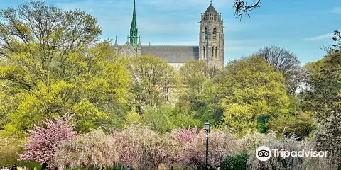 布蘭池布魯克公園