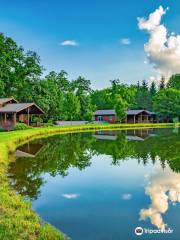 Mount Nittany Vineyard and Winery