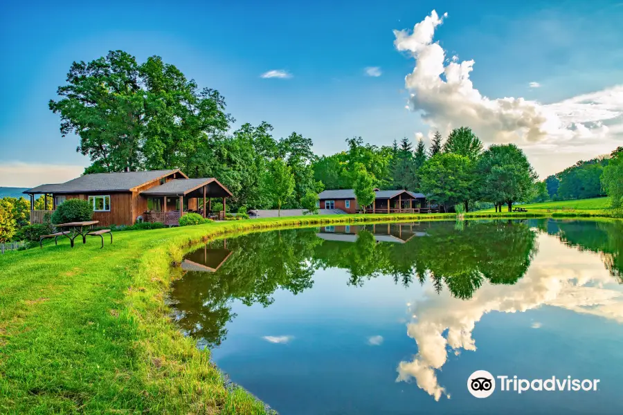 Mount Nittany Vineyard and Winery