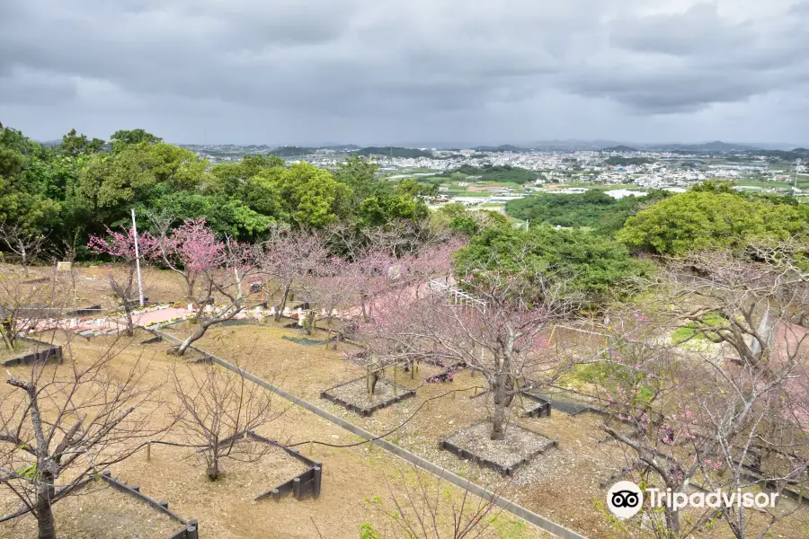 八重瀬公園