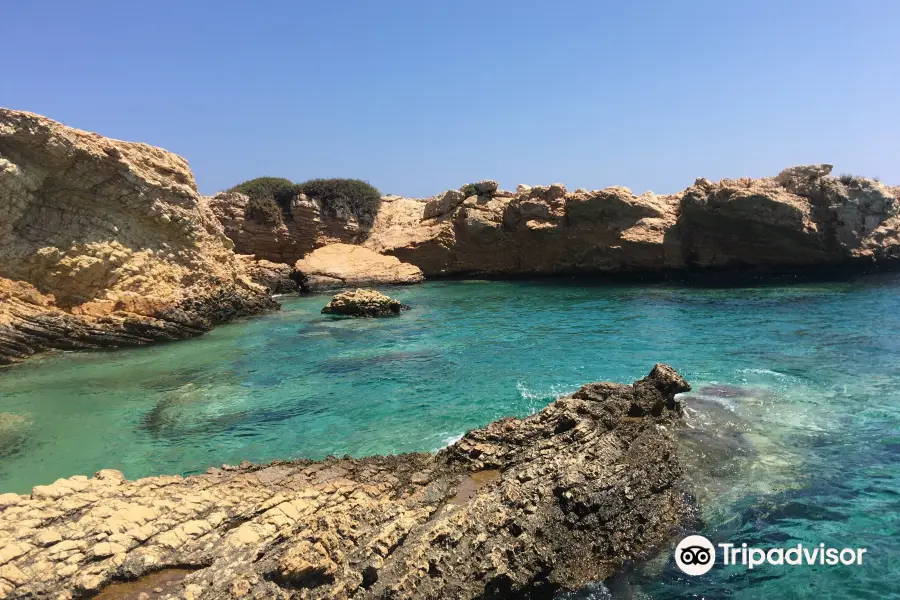 Natural Pool