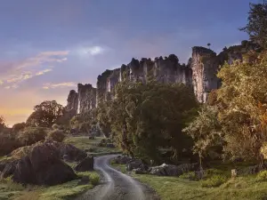 Hairy Feet Waitomo - Hobbit Film Location Tour