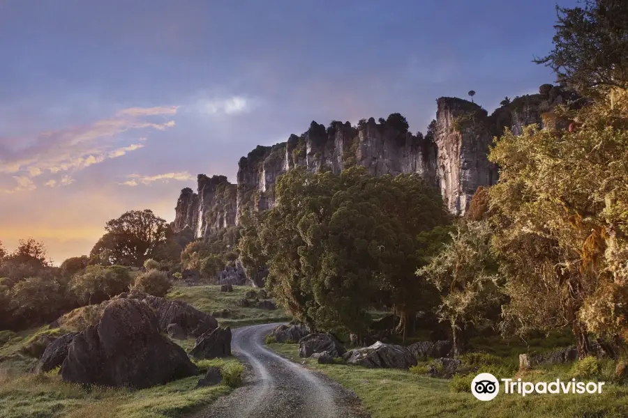 Hairy Feet Waitomo - Hobbit Film Location Tour