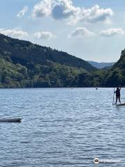 Llyn Gwynant