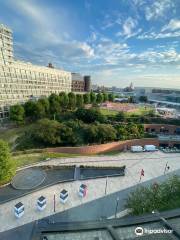 Chavasse Park