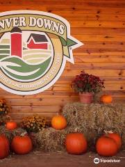 Denver Downs