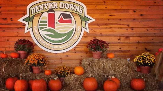 Denver Downs