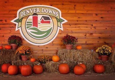 Denver Downs Farm