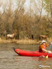 Arizona Outback Adventures