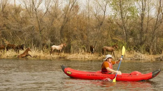 REI Co-op Adventure Center Arizona