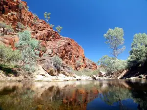 Arkaroola Wilderness Sanctuary