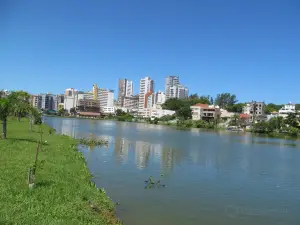Lagoa Do Violao