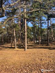 Lake Wister State Park