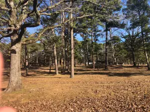 レイク・ウィスター州立公園