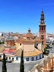 Alcazar de la Puerta de Sevilla