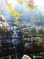 Talakona Waterfall