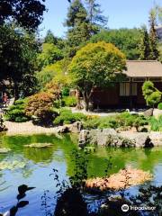 San Mateo Japanese Garden