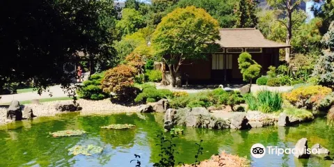 The San Mateo Japanese Garden