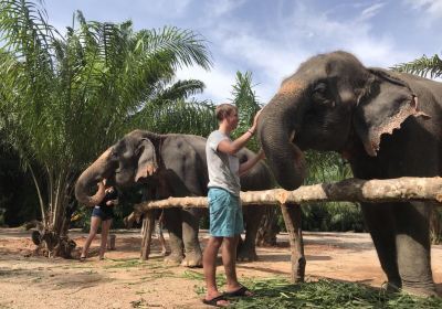 Krabi Elephant Sanctuary