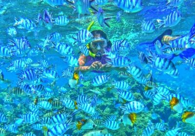 Reef Discovery Bora Bora