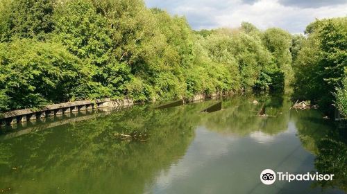 Hanwell Lock Flight Canalside