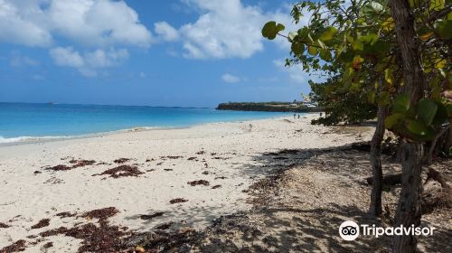 Fort Bay Beach