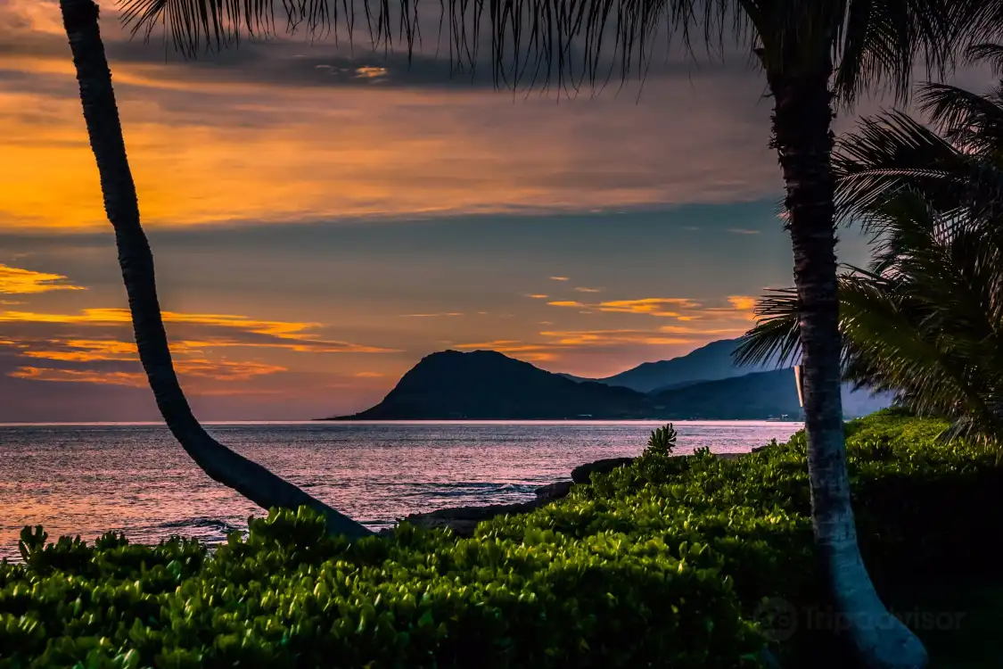 Hotels near Paradise Cove Public Beach