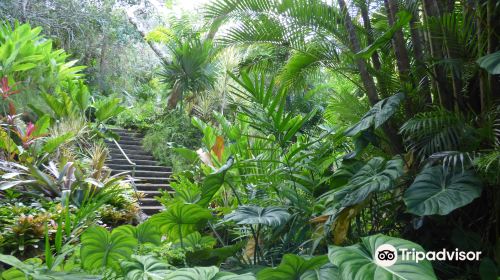 Andromeda Botanic Gardens